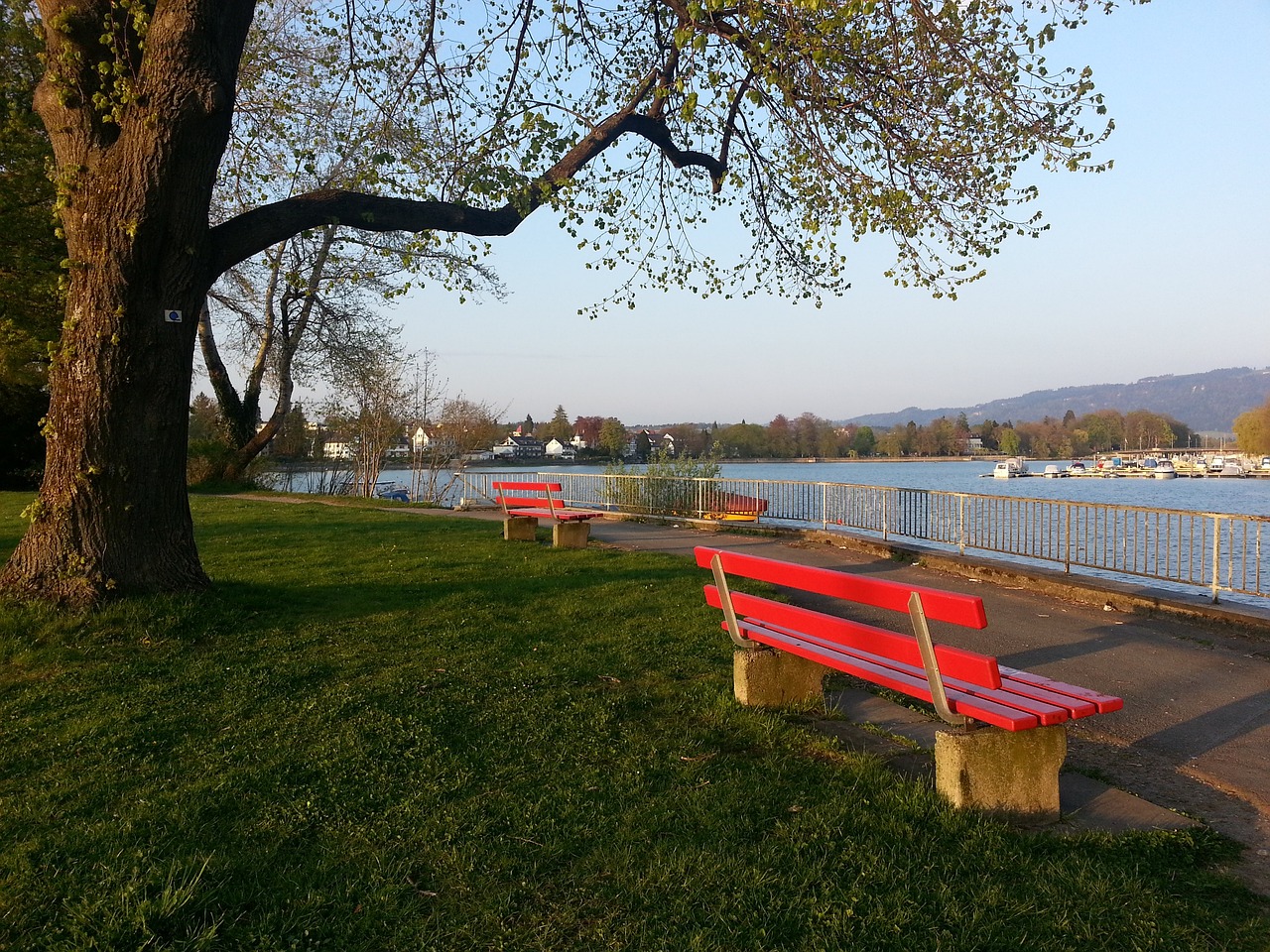 杀回前四 杀回前四