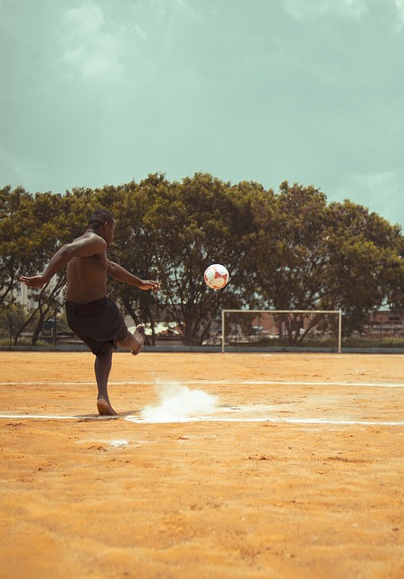的巨大贡献 的巨大贡献