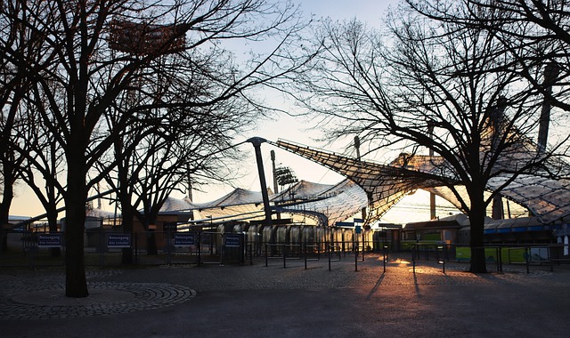 诗栋将展开 诗栋将展开