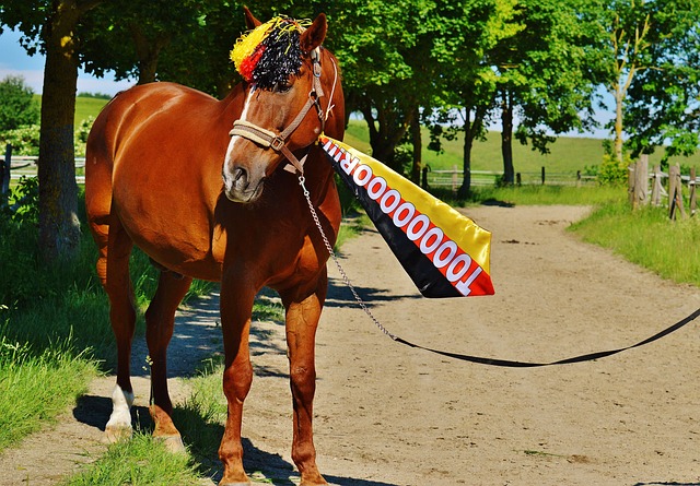 梅州一次次 梅州一次次