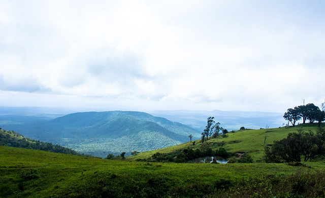 曼联在随后 曼联在随后