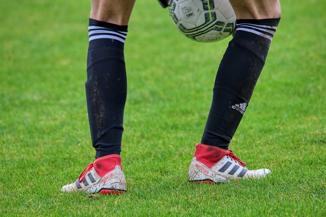 引发了意想 引发了意想