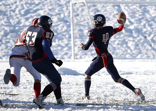 正如塔圖姆 正如塔圖姆