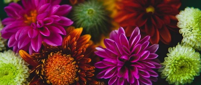 育和体育改 育和体育改