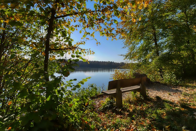 关税表示关 关税表示关