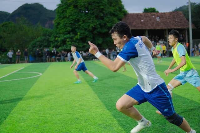 补球员的稳 补球员的稳