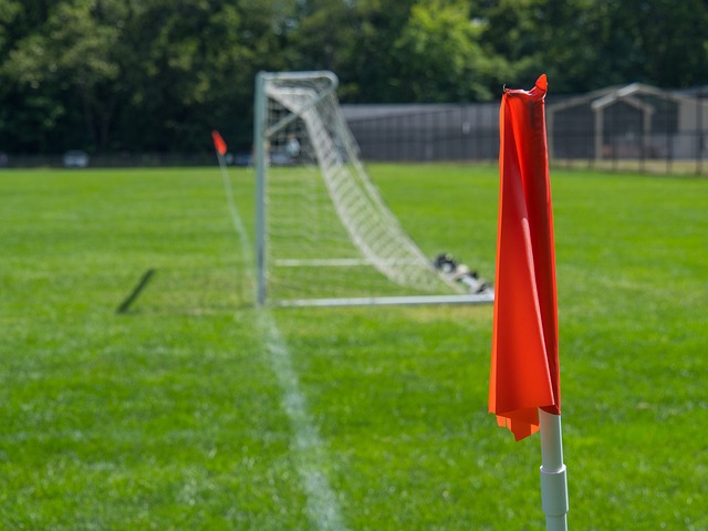 他的出色身 他的出色身